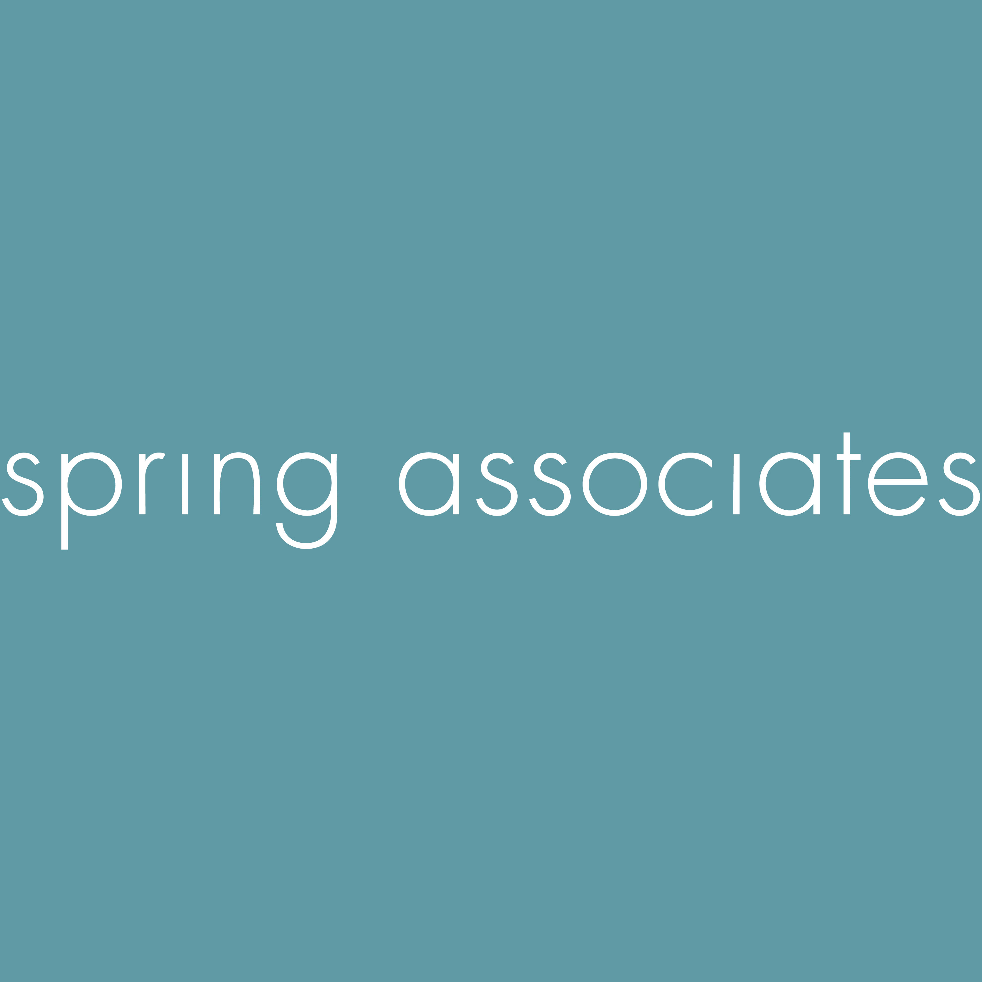 werken bij spring associates