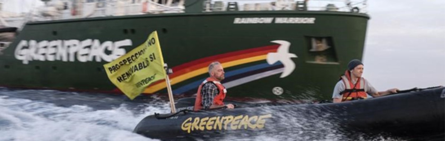 Werken bij Greenpeace